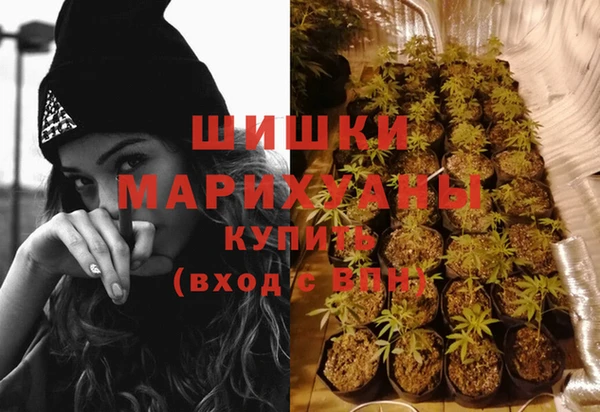 СК Волосово